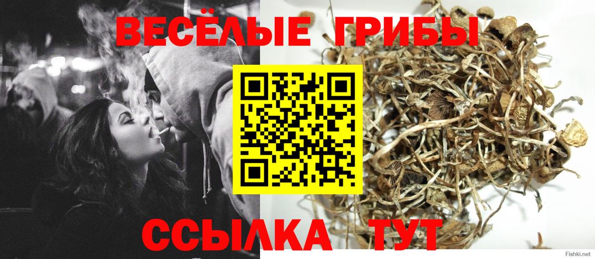 купить  цена  Галлюциногенные грибы Cubensis  Вход с VPN  Старая Купавна 